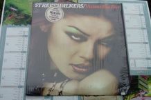 Vinyle LP Vicious But Fair de Streetwalkers de 1977