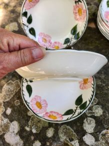 6 assiettes creuse villeroy et boch