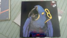 Vinyle Graham Parker The Real Macaw EO 1983