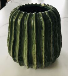 Vase cactus