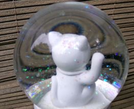 chat dans une bulle