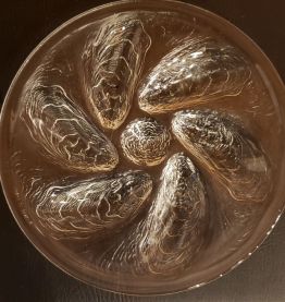 6 assiettes à huîtres Arcoroc 