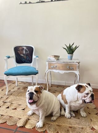 Fauteuil Bull dog