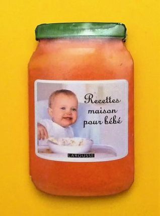 Recettes Maison pour Bébé- Céline Scharot- Larousse  