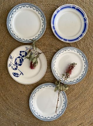 5 assiettes plates assorties en bleu.