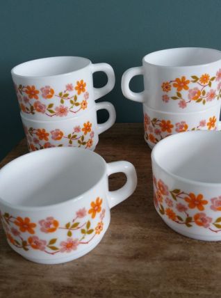 Tasses Arcopal Scania motifs fleurs 