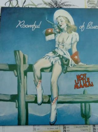 Vinyle  33T Roomful of blues Hot Little Mama 1981