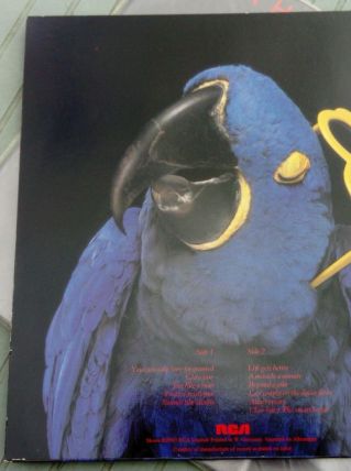 Vinyle Graham Parker The Real Macaw EO 1983