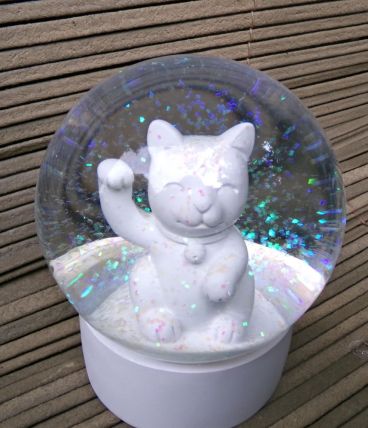 chat dans une bulle